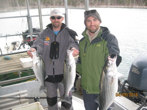 Nice Striped Bass